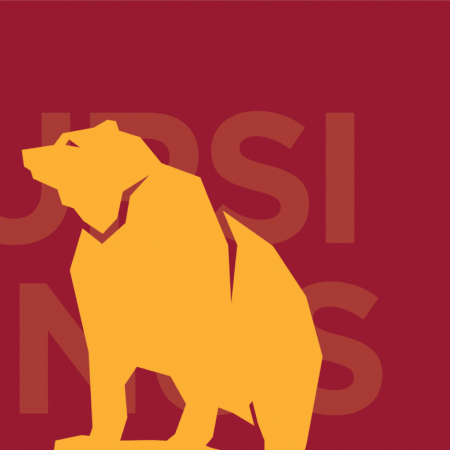 Ursinus College bootcamp graphic with an abstract golden bear and red background.