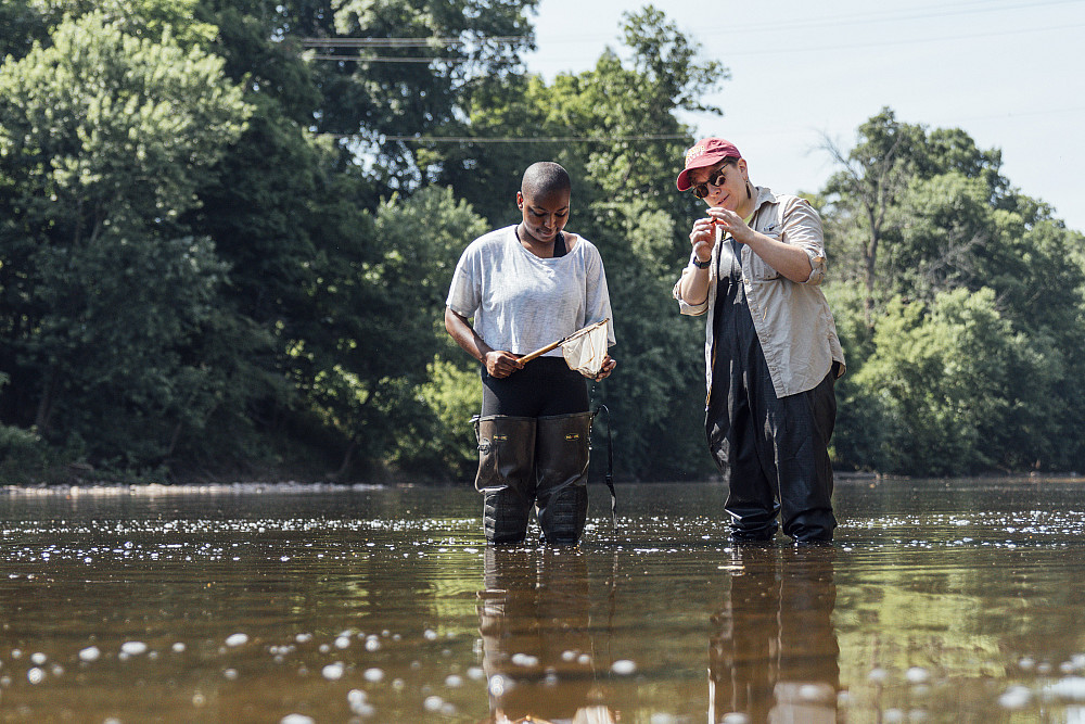 Students of Dr. Bove collect and measure crayfish in the Perkiomen Creek for research. - June 25, 2024