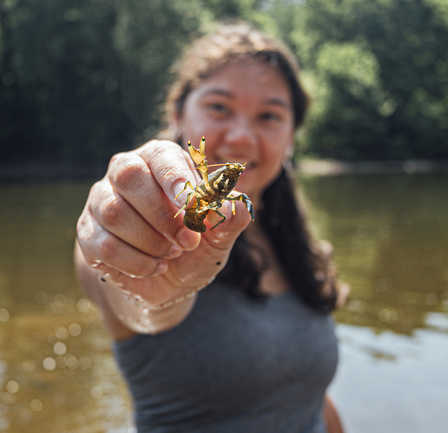 Students of Dr. Bove collect and measure crayfish in the Perkiomen Creek for research. - June 25, 2024