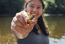 Students of Dr. Bove collect and measure crayfish in the Perkiomen Creek for research. - June 25, 2024