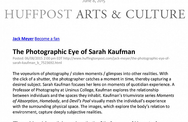 Art of Sarah Kaufman Featured by HP Blogger Jack Meyer