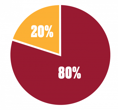 Pie Chart-80-20 pie chart