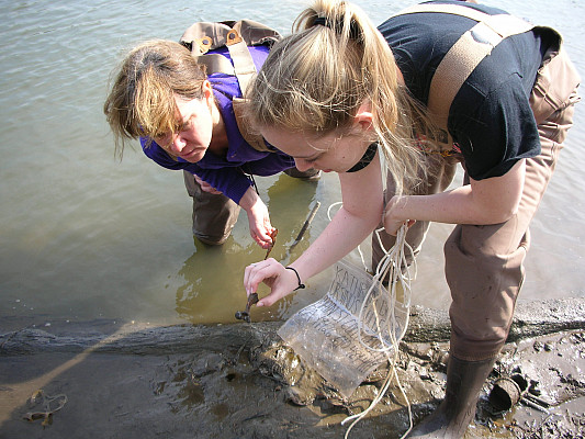 Freshwater Biology course in action.