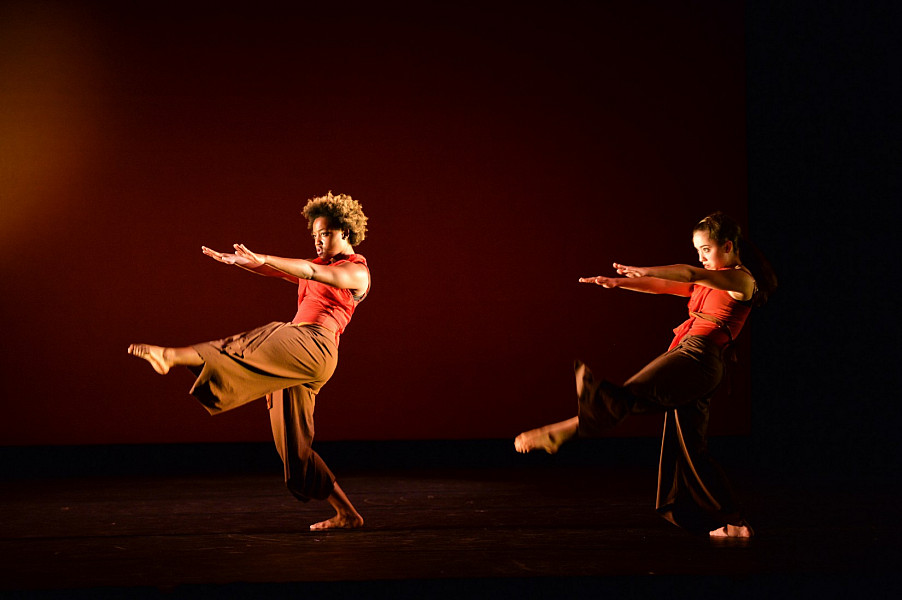 A Moment in Time, 2015 Fall UCDC