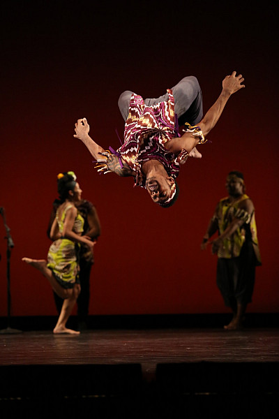 Regenerate, 2016 Spring UCDC