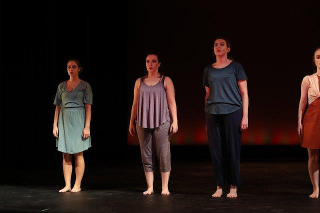 2018 Fall UCDC