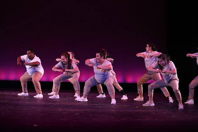 2018 Fall UCDC
