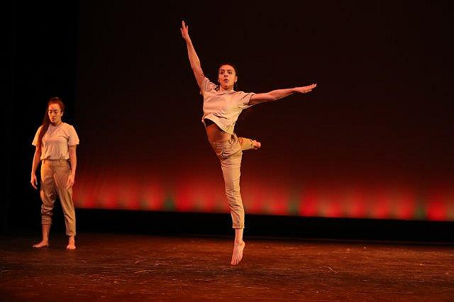2018 Fall UCDC