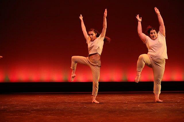 2018 Fall UCDC