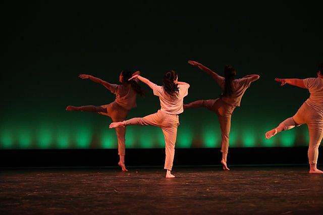 2018 Fall UCDC