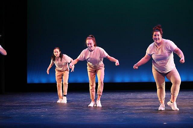 2018 Fall UCDC