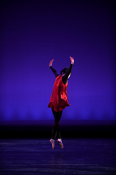 Spring 2018 UCDC