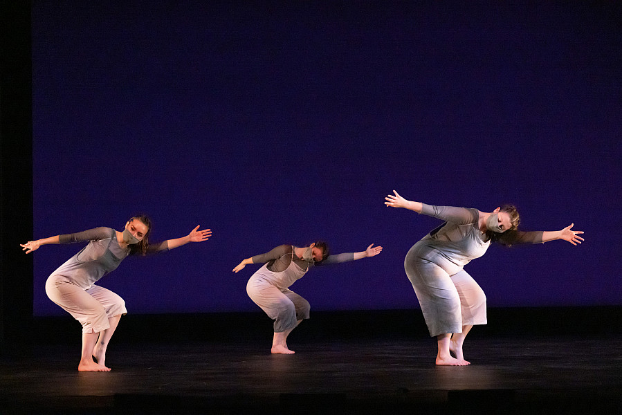 UCDC Fall '21