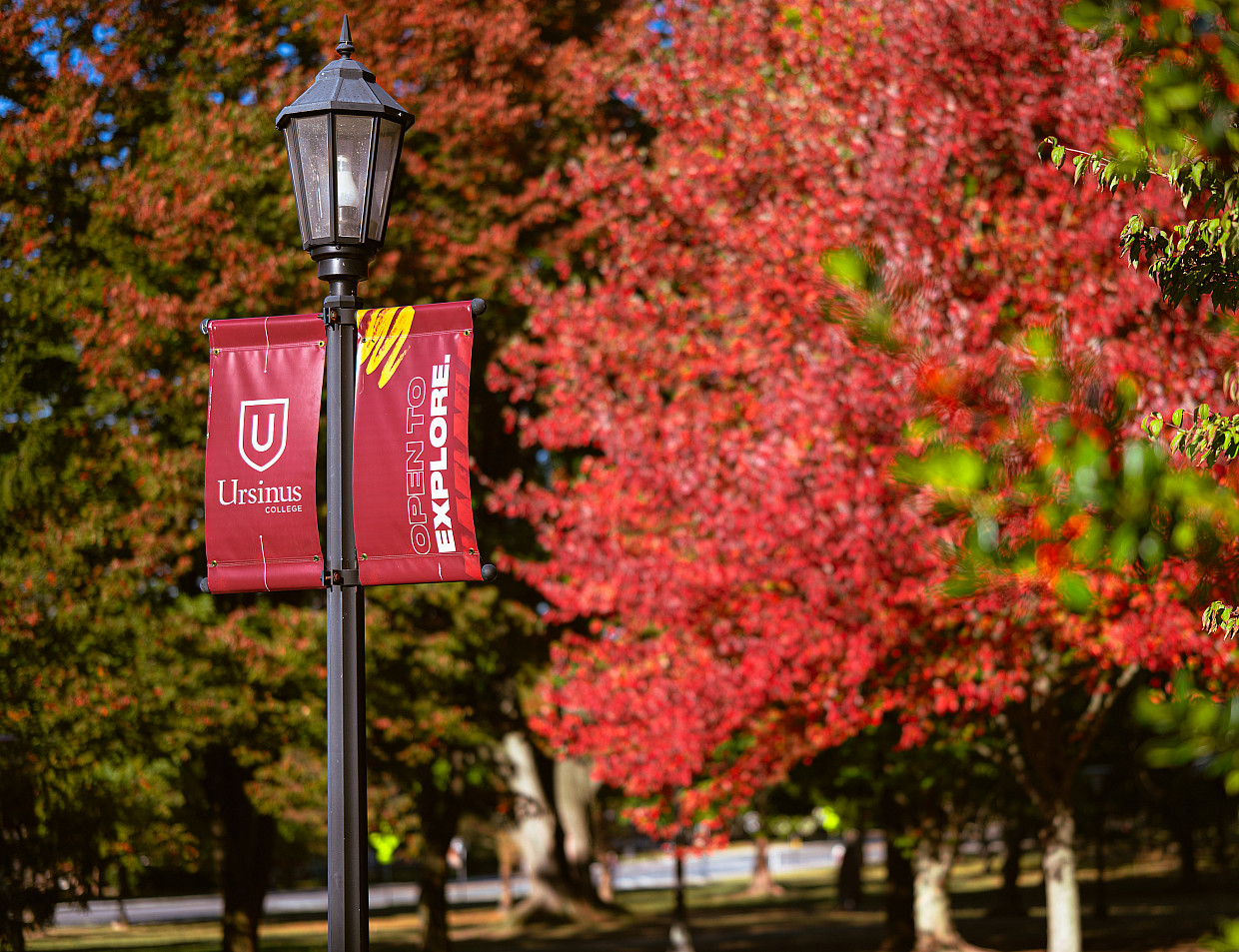 Ursinus College campus