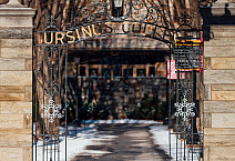A walk around campus during a snow day. January 7, 2025