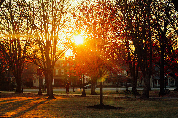 Photos by Caitlin Cunnane - November 20, 2024