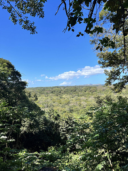 Gallery 3: Overlook