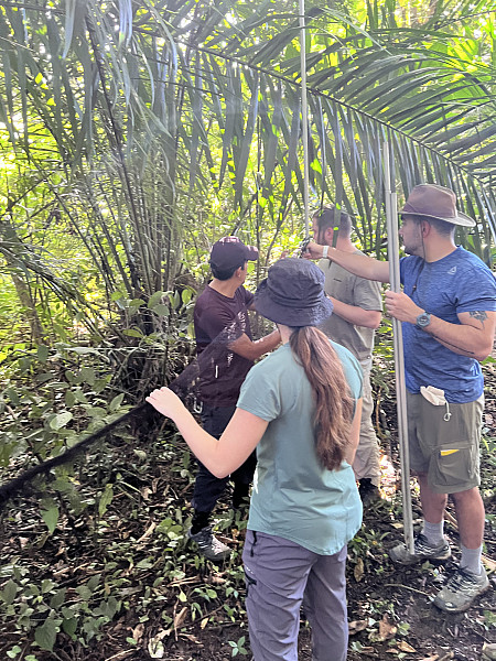 Gallery 7: Setting-up-bat-nets