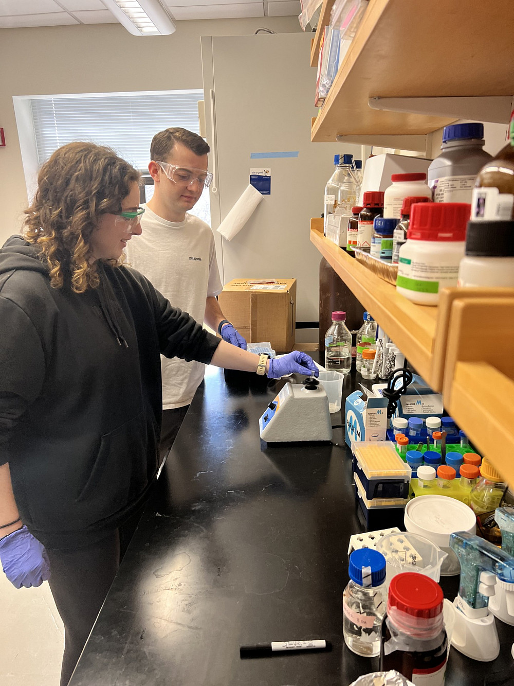 Wilner Lab