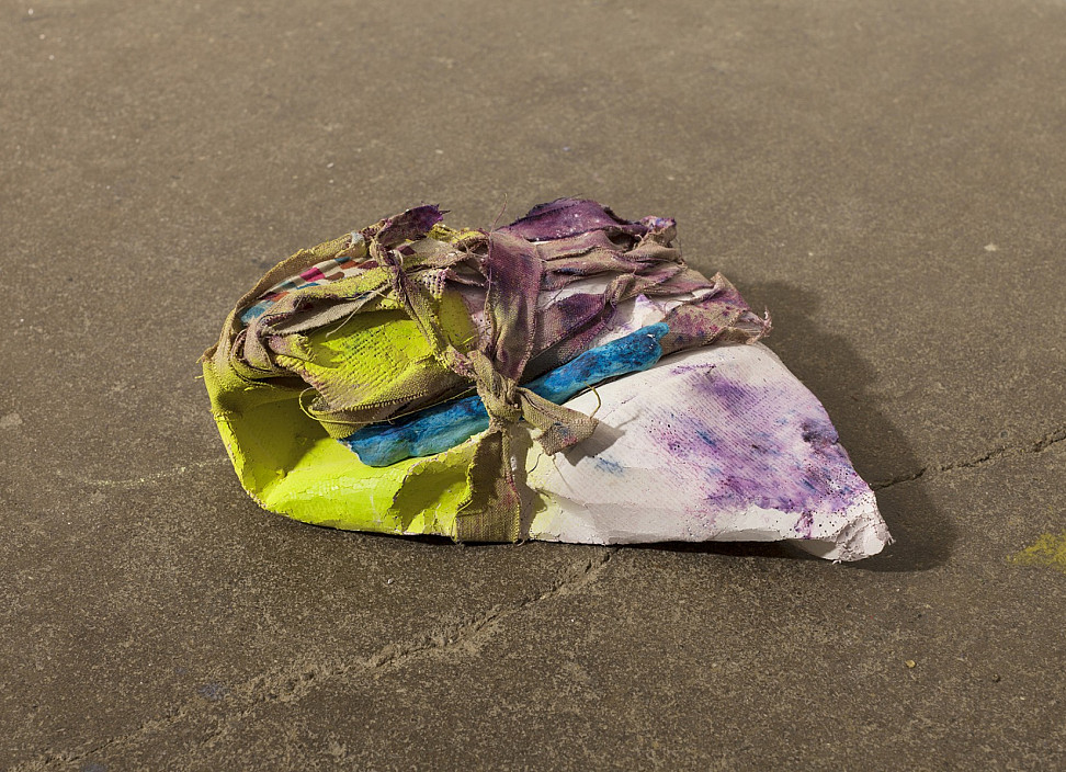 Natessa Amin, Cooking 1, Bone Sets, 2016.