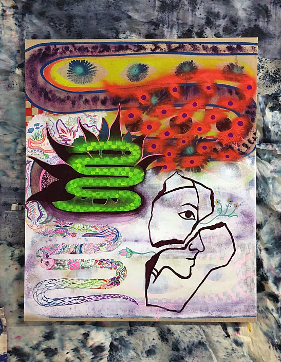 Natessa Amin, These Facts Are Feelings, 2016.
