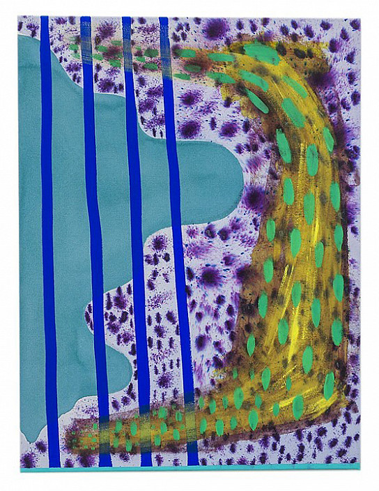 Natessa Amin, Looking Down and Sideways, 2015.