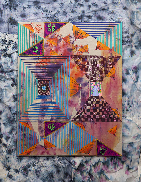 Natessa Amin, Things to Hope For, 2016.