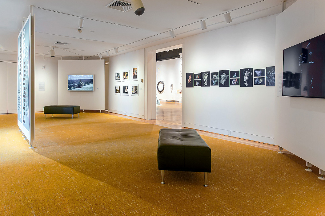 Installation view of the ASE 2019
