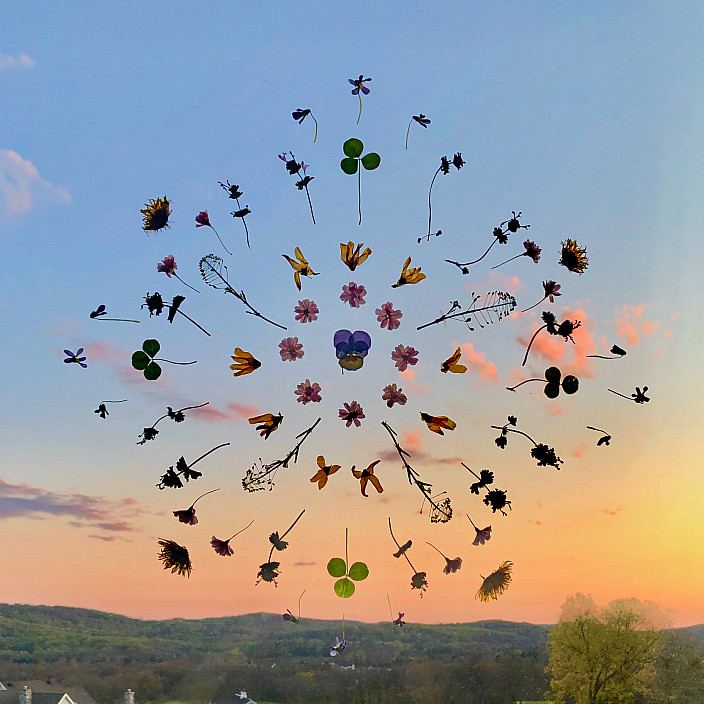 Kristen Cooney, The Blossom Mandala, 2020.