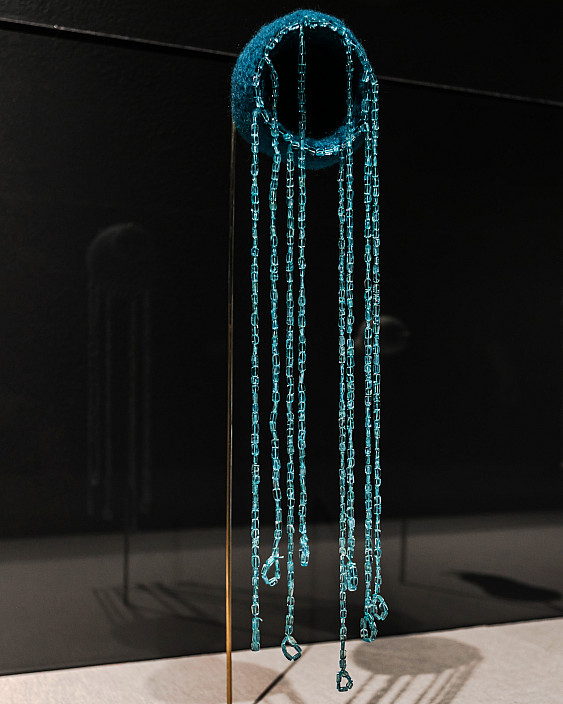 Installation View of Alison Safford: Anthro(Site) installed at The Berman Museum of Art, 2021.