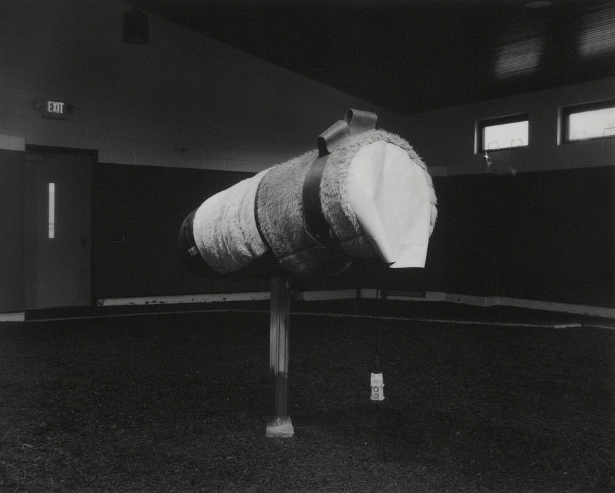 Andrea Modica, Phantom IV, Rood and Riddle, Lexington, Kentucky, 2019.