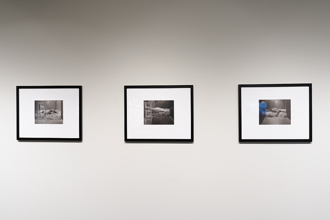 Installation view of Theatrum Equorum