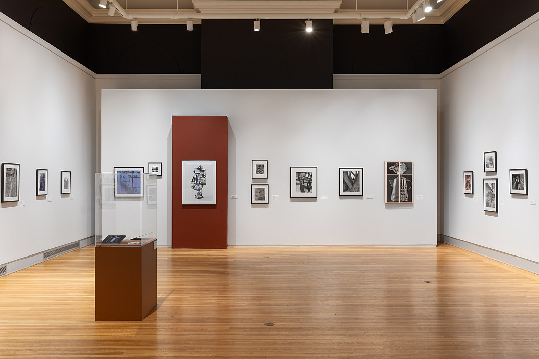 Enrique Bostelmann: Apertures and Borderscapes installation view. Photo by Joseph Hu.