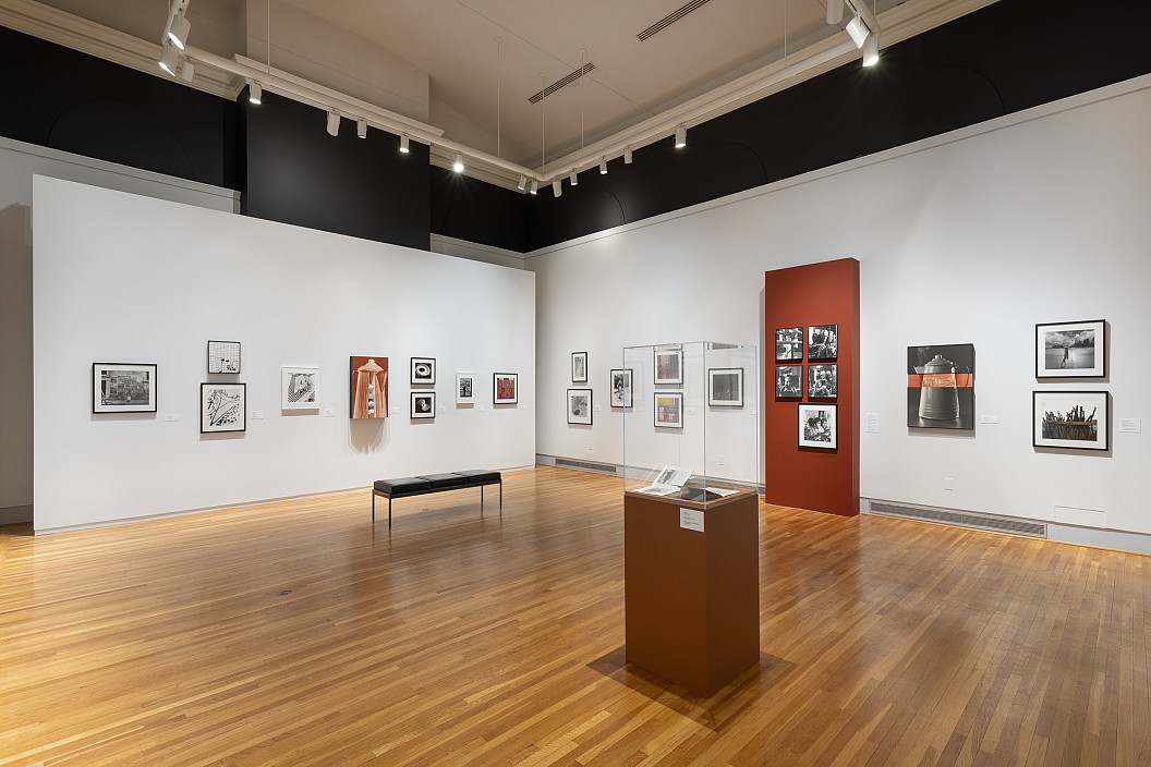 Enrique Bostelmann: Apertures and Borderscapes installation view. Photo by Joseph Hu.