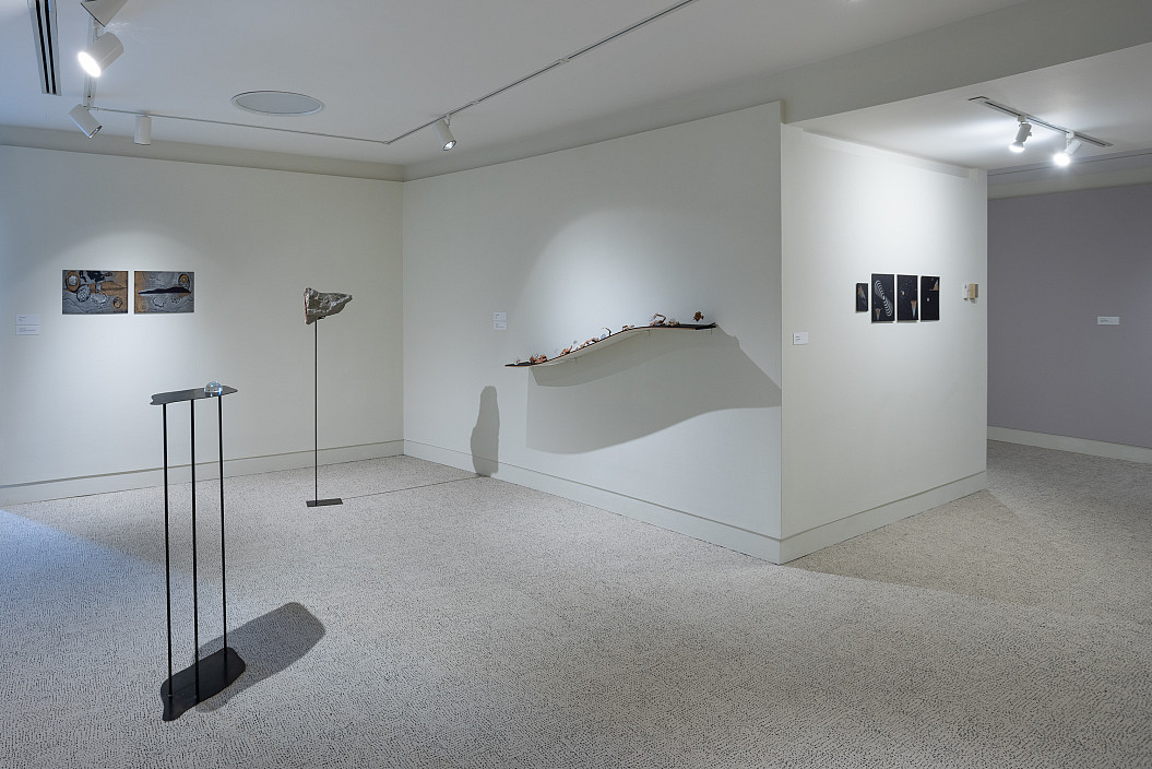 Installation view of mother mold: a cosmogony