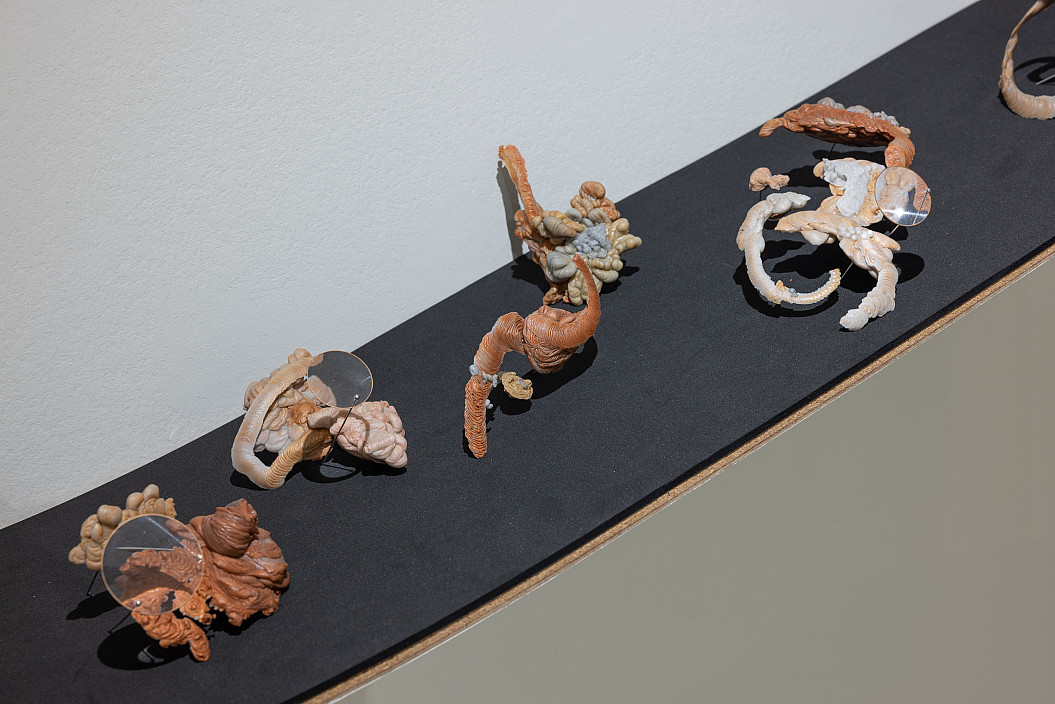 Installation view of mother mold: a cosmogony