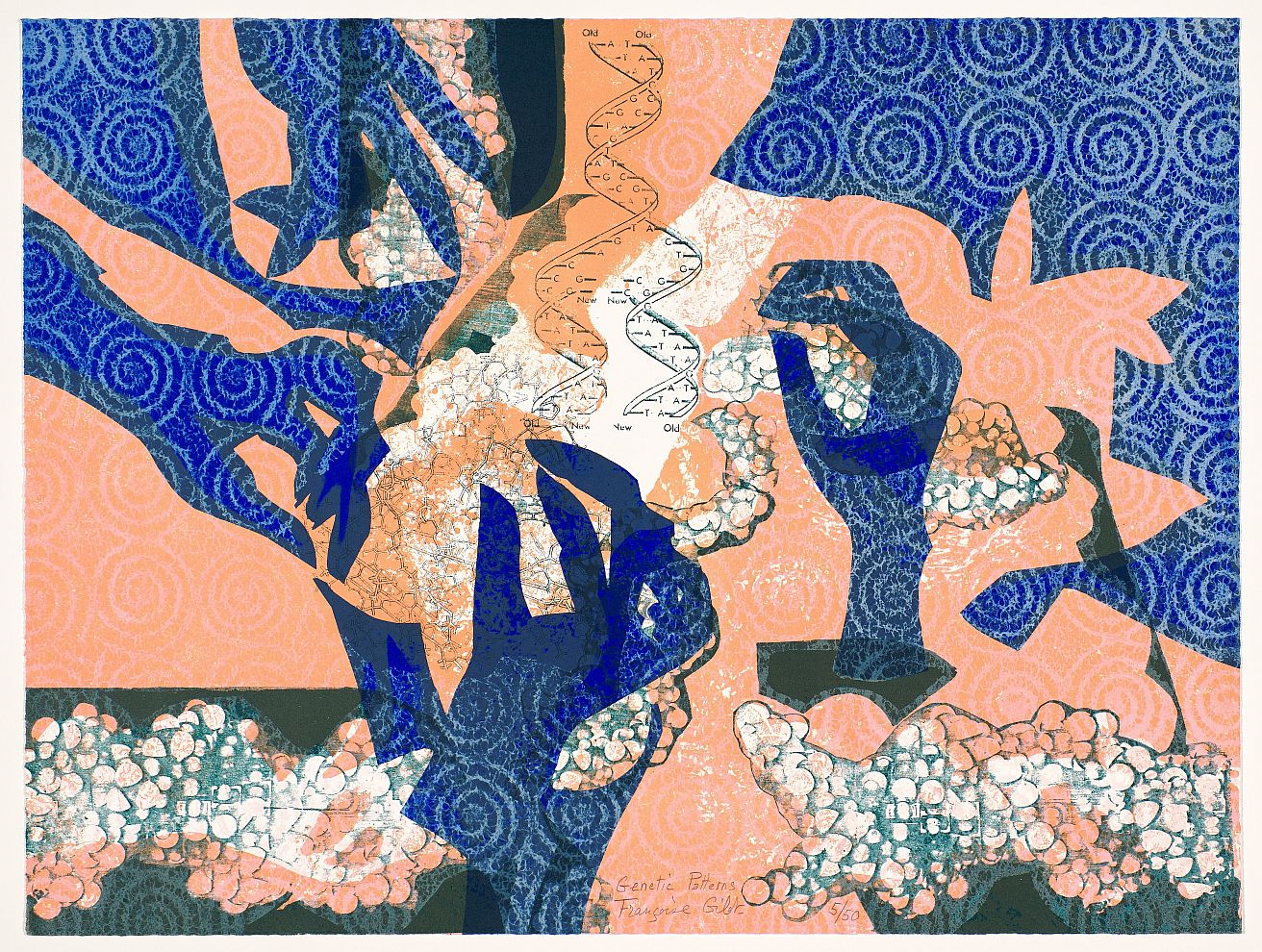 1991 BAM1994.001 Françoise Gilot, Genetic Patterns, 1991. Lithograph.