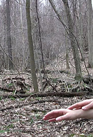 Cari Freno. Abandonment Schema/Tic, 2012. Video. Courtesy of the artist.
