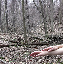 Cari Freno,  Abandonment Schema/Tic, 2012.