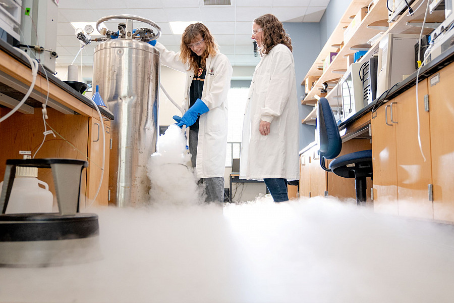 Faculty mentorship and student curiosity spark scientific breakthroughs in our chemistry department, where high-level research is the norm.