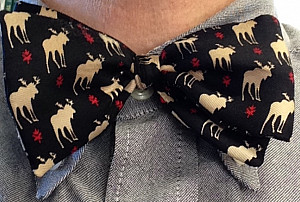 The Many Bowties of Dr. T.