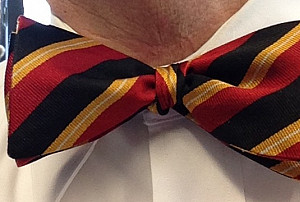 The Many Bowties of Dr. T.