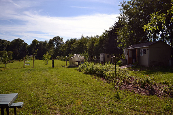 The Ursinus Organic Farm is located on 9th Avenue across from campus.