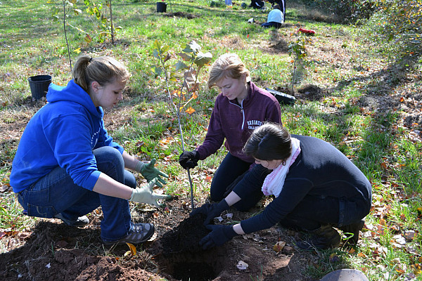 Students planting trees.