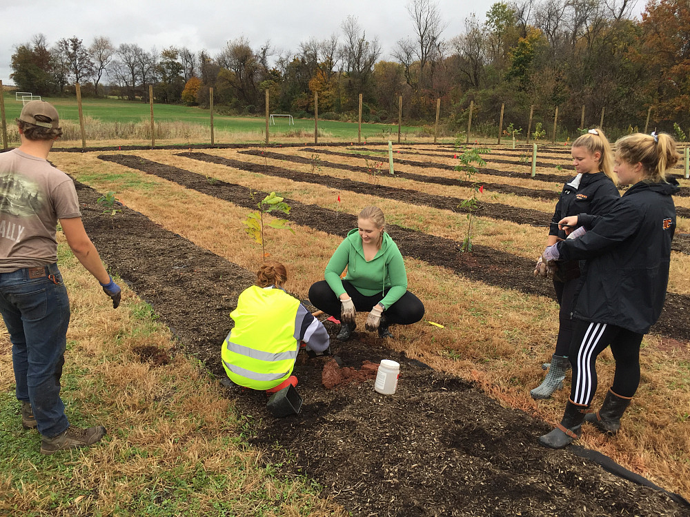 Students plant first trees at the Food Forest.