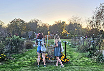 Sunset on the Farm