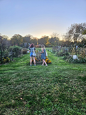 Sunset on the Farm