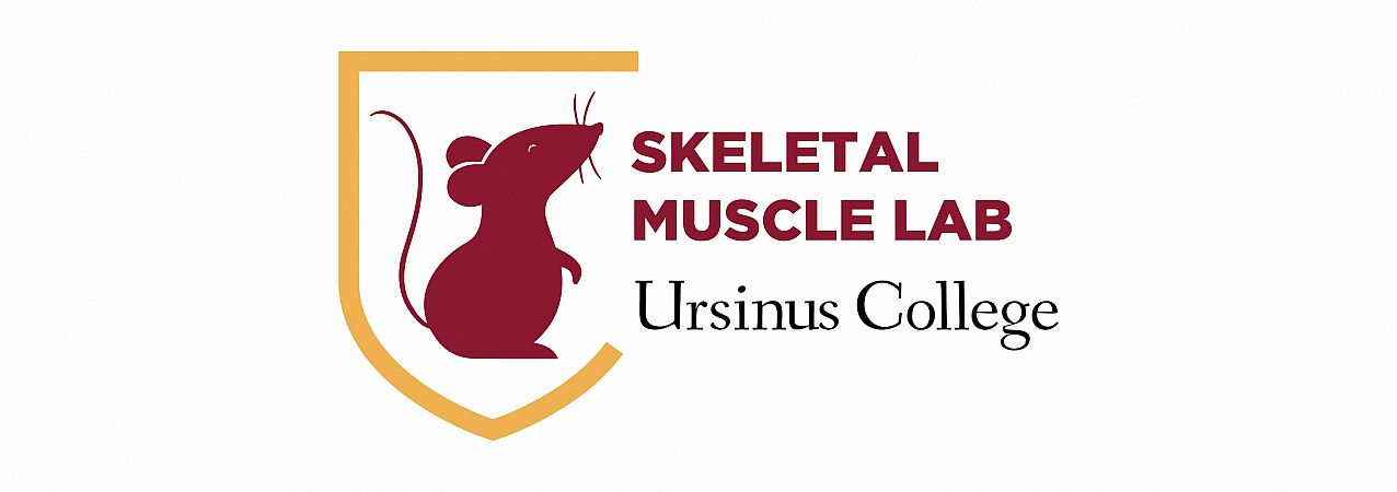 Skeletal Muscle Lab Ursinus College Logo Graphic