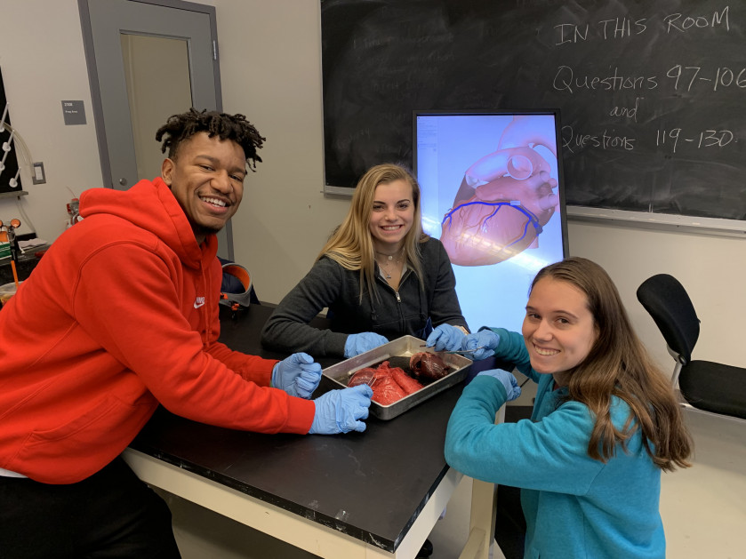Health and Exercise Physiology Lab Students