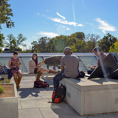 Dr. Mulryan's EDUC 446 class enjoying a lovely fall day!